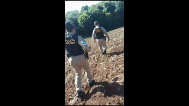 O caso foi na manhã deste domingo / Foto: Reprodução