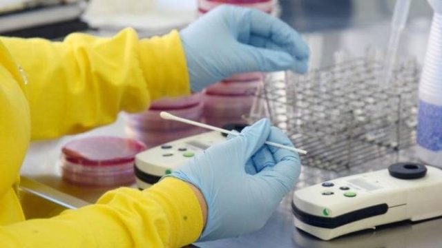 covid-19 Ivaiporã não registra casos da Covid-19, neste sábado (21)