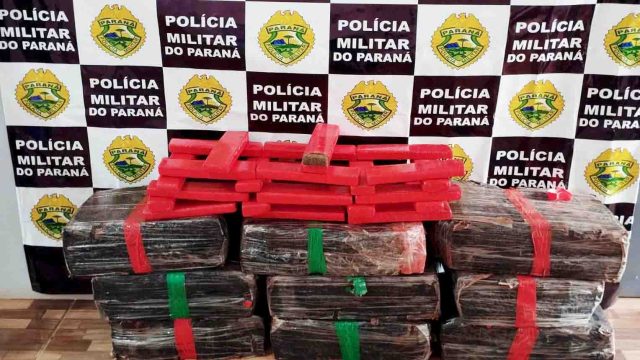 Apreensão ocorreu na manhã desta terça-feira / Foto: PMPR