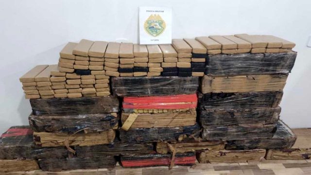 Polícia Militar divulga foto da maconha apreendida em Manoel Ribas.