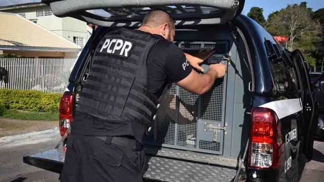 Ilustração / Foto: PCPR