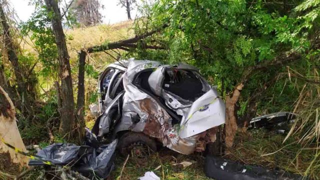 f3c84eee-eddf-42a2-8aaf-e9eaad3f16ac Difulgação / Foto: PRE