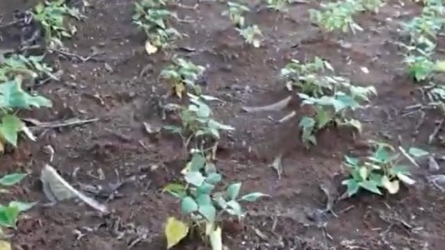 Imagem ilustrativa / Foto: Reprodução