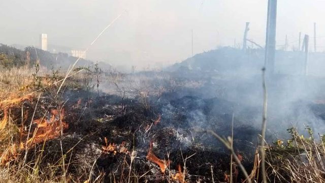 Homem é preso após atear fogo em mata próximo a residências em Ivaiporã