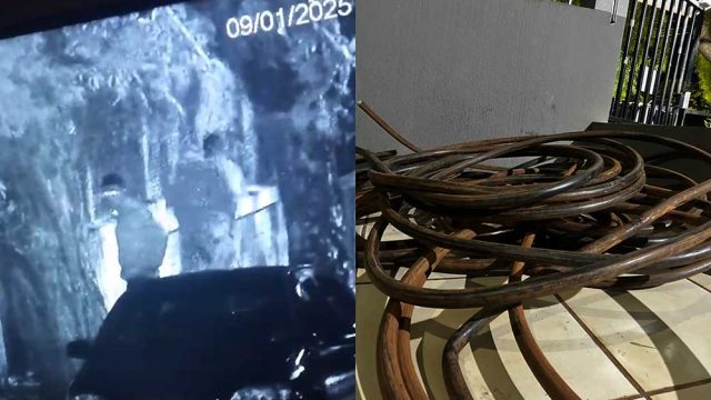 Reprodução / Foto: Canal HP