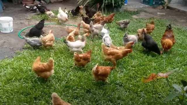 Imagem meramente ilustrativa / Foto: Reprodução / Youtube