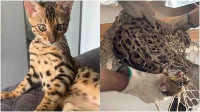 Foto: Arquivo pessoal