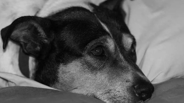 Imagem meramente ilustrativa / Foto: Ann Jessica Johnson/Pixabay