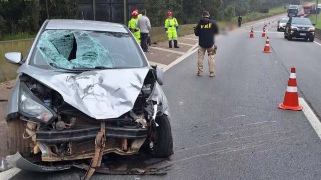Acidente foi na altura do km 635, na pista sentido norte, próximo a praça de pedágio / Foto: PRF