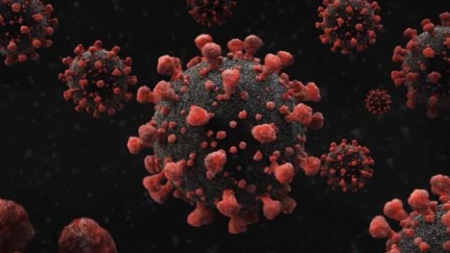 öbito Covid-19 mortes covid