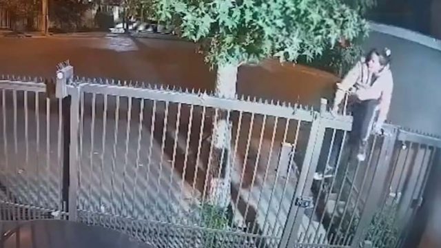 Reprodução / Vídeo: TN Online