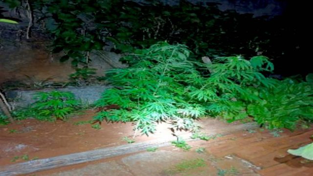 Divulgação / PMPR/Pitanga