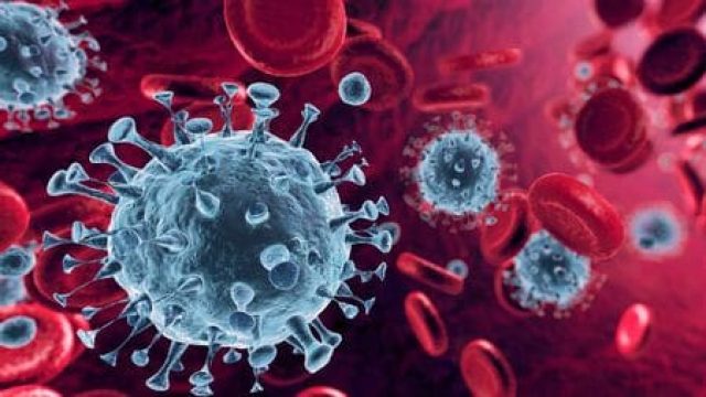 Foto: Imagem ilustrativa/Reprodução internet