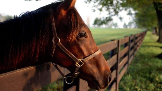 Foto: Imagem ilustrativa