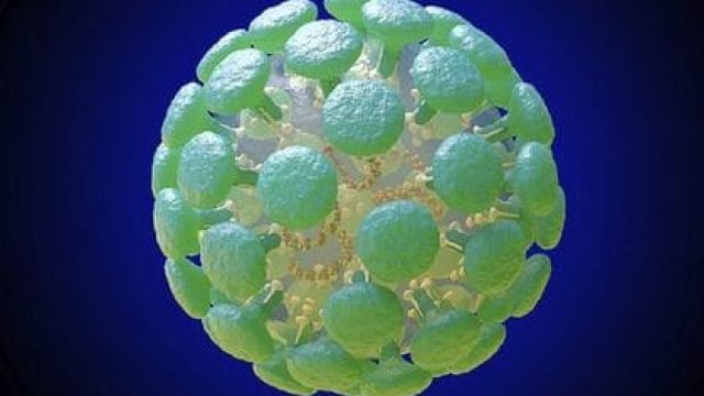 novos casos coronavírus