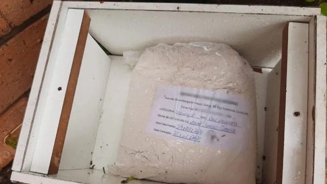 Urna funerária foi encontrada próximo ao Parque Barigui / Foto: Marcelo Borges/Banda B