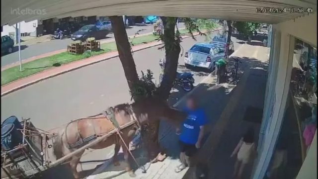 vereador-mordido-cavalo-768x432